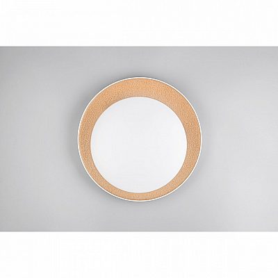 Laevalgusti Trio Lighting Aleta valge / kuldne 24W 2500lm IP20 switch dimmer 2700K-6500K soe + külm valge