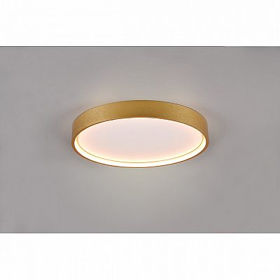 Dome light Trio Lighting Doha brass 3260lm IP20 Dip Switch 2300K, 3000K, 4000K 3CCT