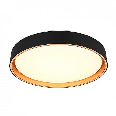 Dome light Trio Lighting Felis black 24W 2500lm IP20 switch dimmer 2700K-6500K warm + cold  white