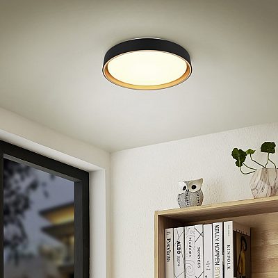 Plafoon Trio Lighting Felis must 24W 2500lm IP20 switch dimmer 2700K-6500K soe + külm valge