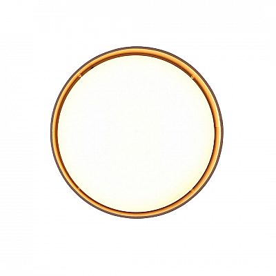 Ceiling lamp Trio Lighting Jano matte black 2400lm IP20 switch dimmer 3000K warm white