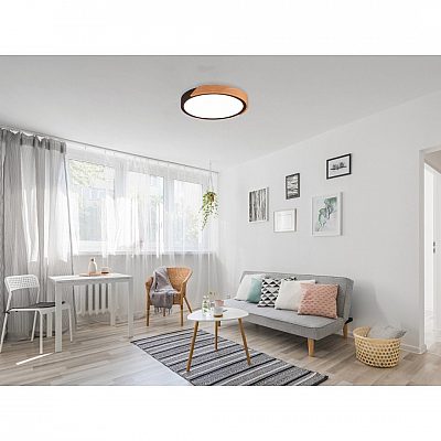 Ceiling lamp Trio Lighting Jano matte black 2400lm IP20 switch dimmer 3000K warm white