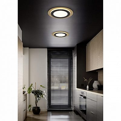 Plafondi Trio Lighting Morgan musta / kultainen 42W 5600lm IP20 DIMMABLE 2700K-6500K