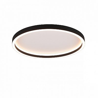 Dome light Trio Lighting Rotonda black 20W 2600lm IP20 830