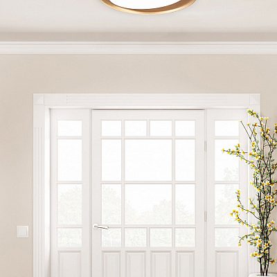 Ceiling lamp Trio Lighting Zeta black / golden 24W 2500lm IP20  2700K-6500K