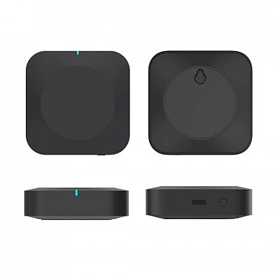 Wi-Fi приёмник SKYDANCE Wireless Multi-mode Gateway(Tuya) черный 5V